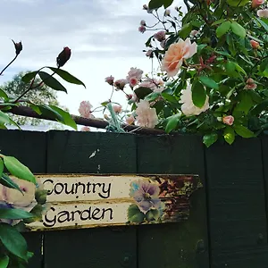 Dragonflycottagebnb Homestay